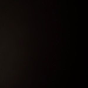 Meet your Posher, Maia